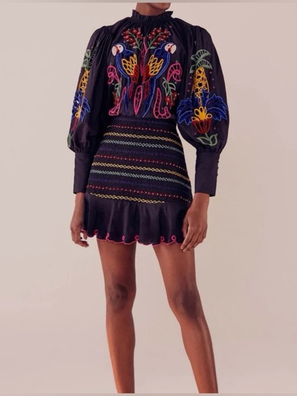 FARM Rio Black Long-Sleeve Embroidered Floral & Bird Dress